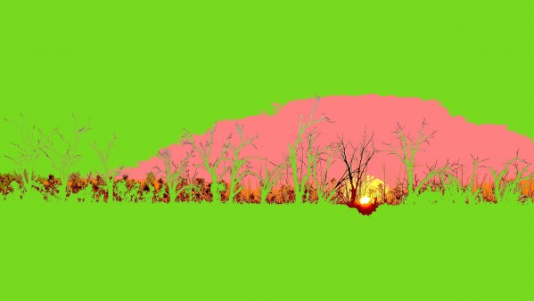 Lake Sunset - Green by Lexa Harpell